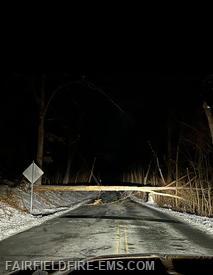 Down tree and wires blocking Bullfrog Rd.